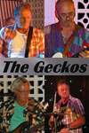 The Geckos at Villamartin Plaza Orihuela Costa Costa Blanca Spain