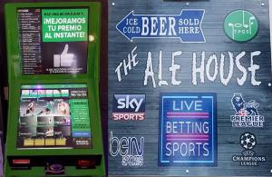 The Ale House Villamartin Plaza